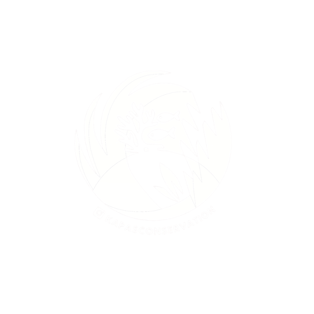 Kapas Conservation Club